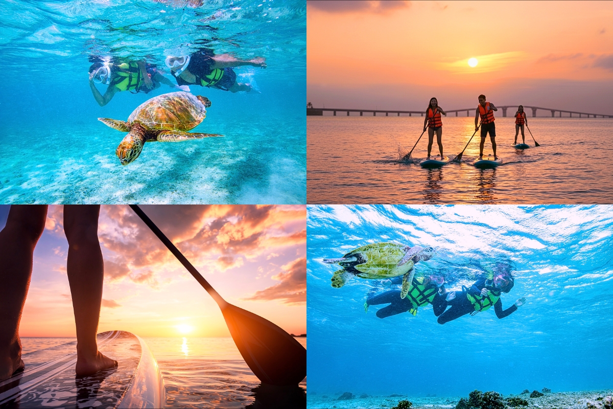 ウミガメシュノーケル＋SUP